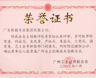 實(shí)業(yè)集團(tuán)榮譽(yù)證書(自主創(chuàng)新技術(shù)創(chuàng)新企業(yè))